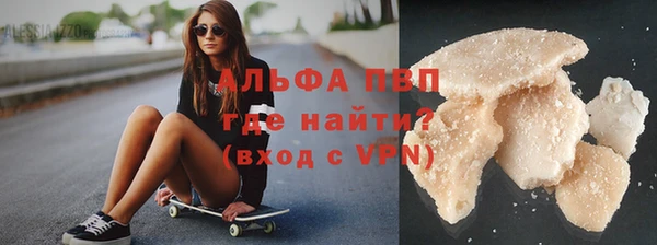 spice Новодвинск